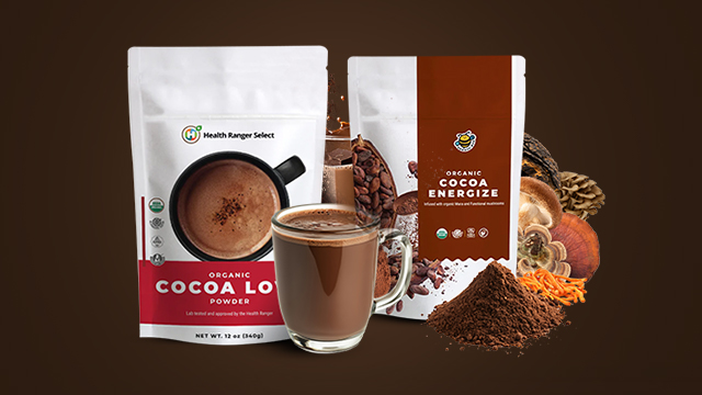 Cocoa Energize and Organic Cocoa Love