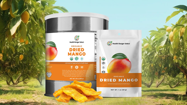 Organic Dried Mangos