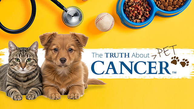 The Truth About Pet Cancer