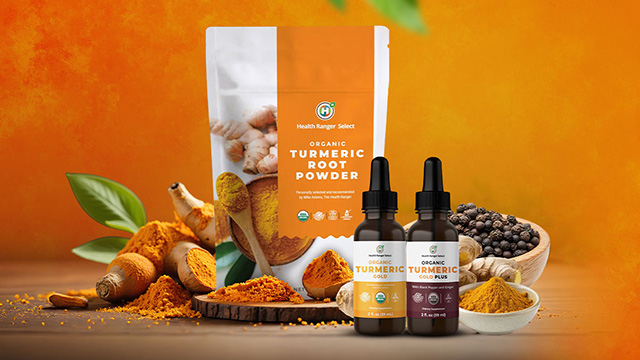 Ultimate Turmeric Kit