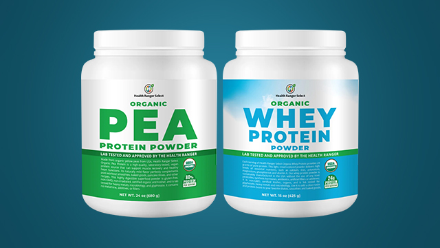 Organic Whey and Pea Protein Powders